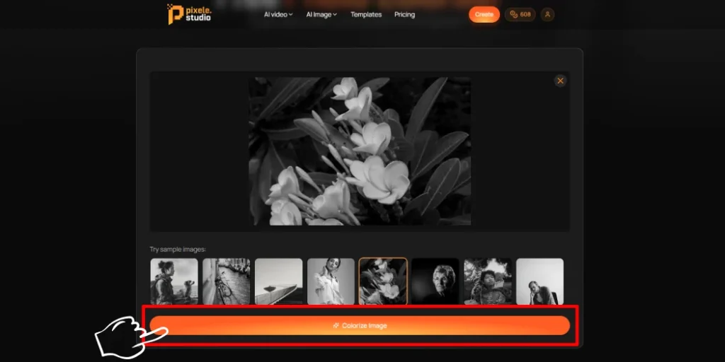 Step 2 Click the Colorize Image Button